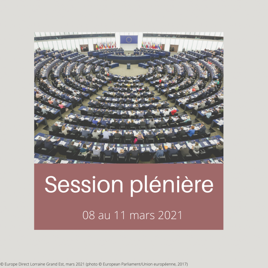 2021 03 Plénière