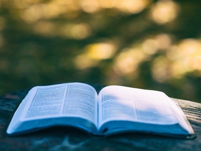 book 1868068 640 pixabay