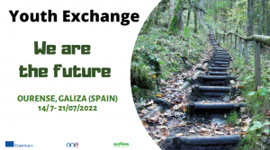youth exchange