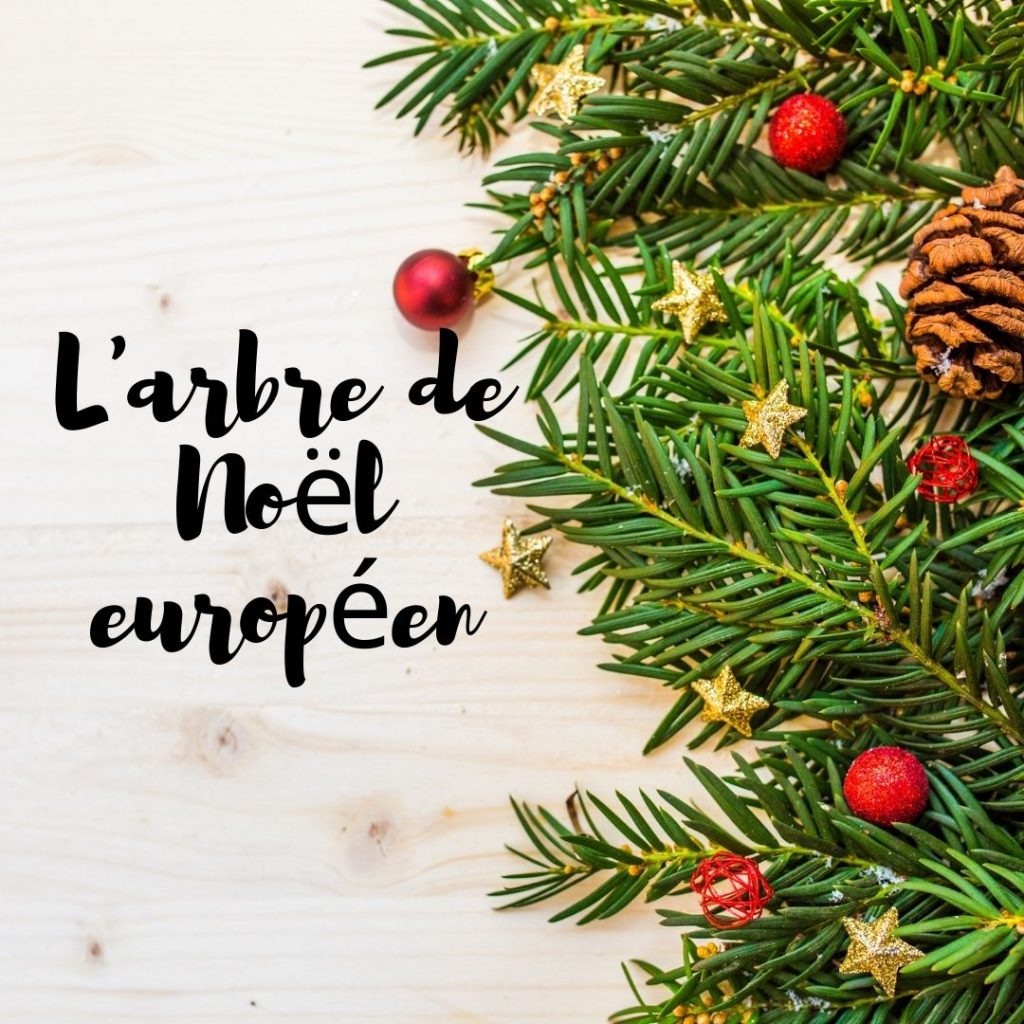 2021 08 27 Arbre de Noel europeen