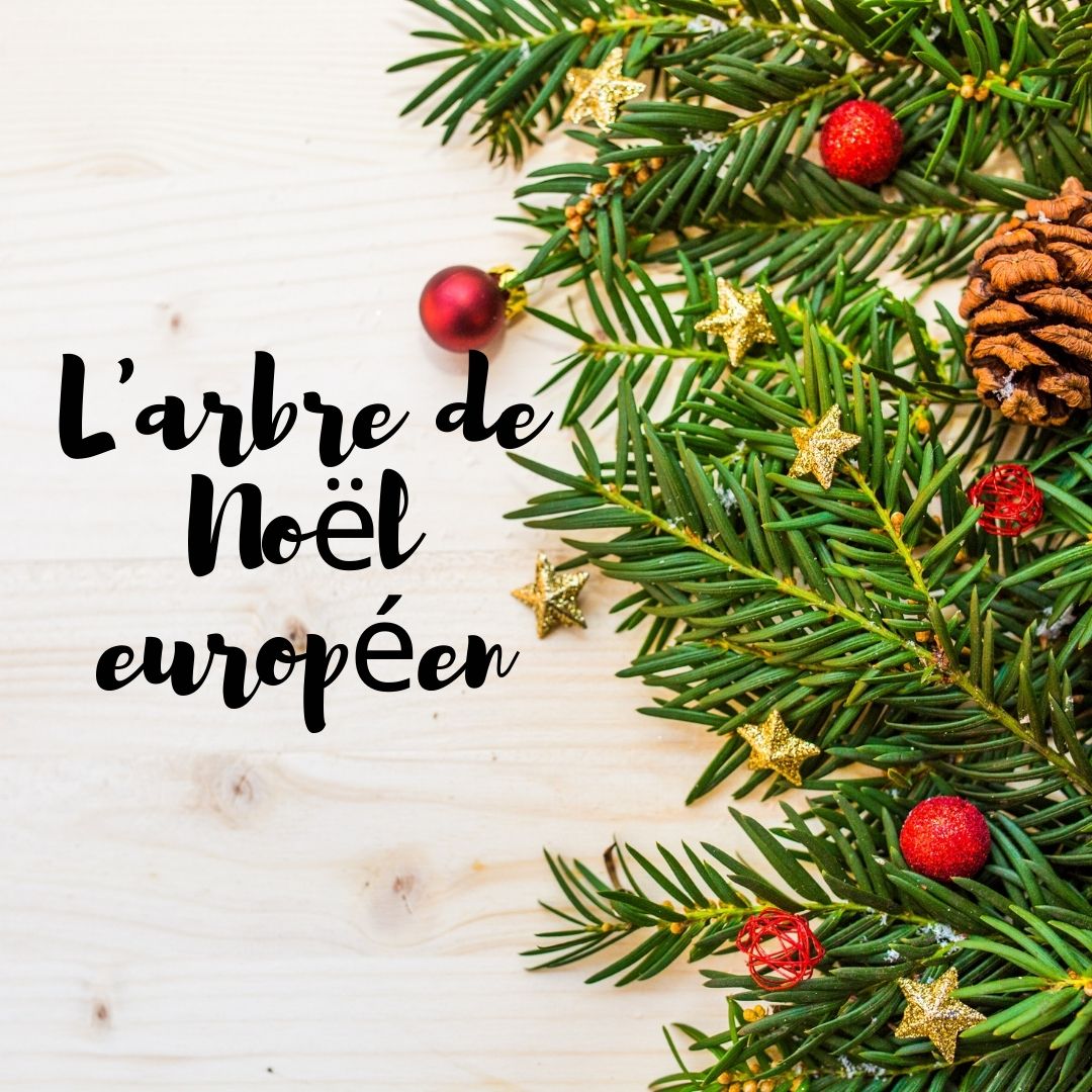 2021 08 27 Arbre de Noel europeen