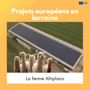 ferme